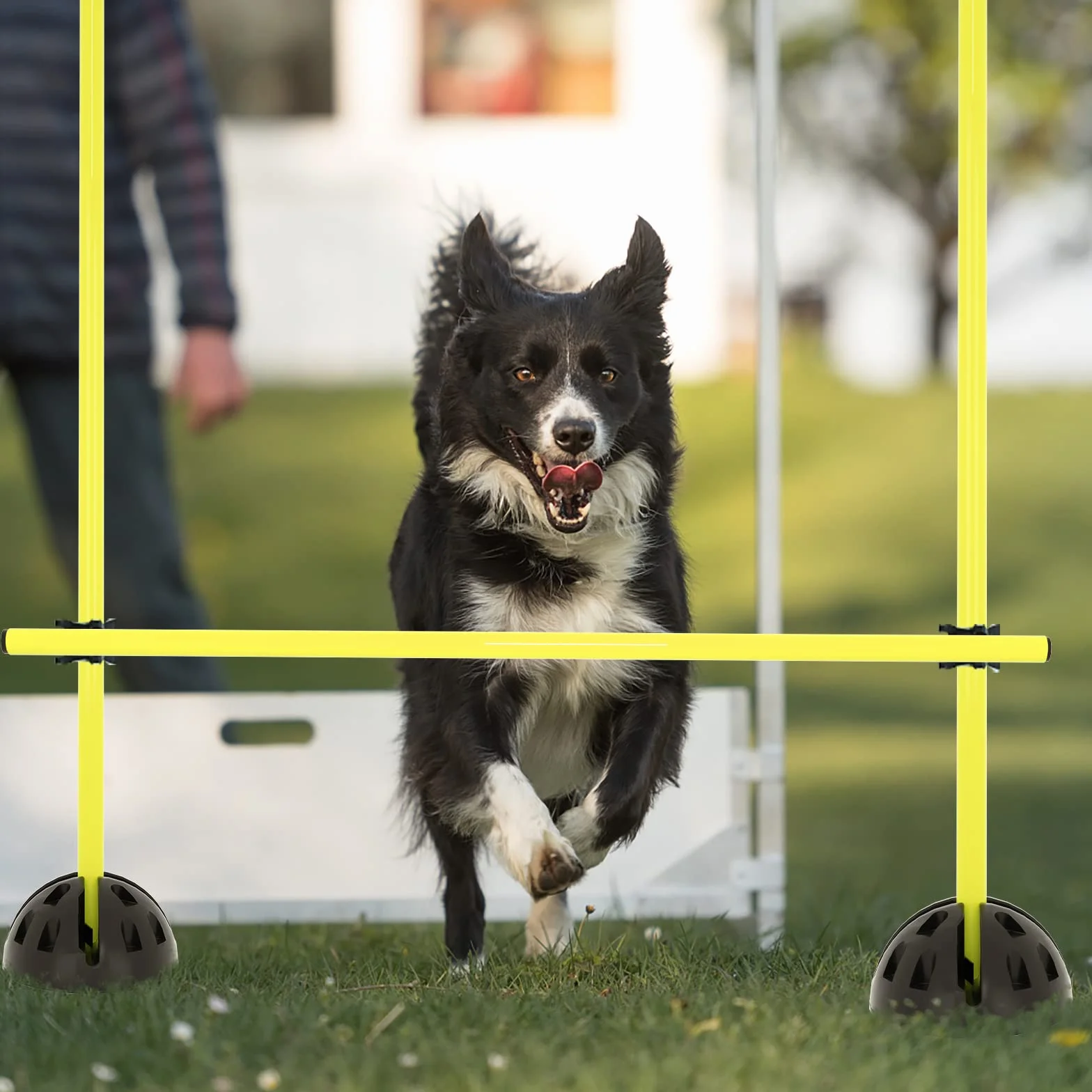 Froadp Agility Set di ostacoli per calcio, regolabile in altezza, per attività sportive, multiuso, velocità di coordinazione, set di ostacoli per il calcio