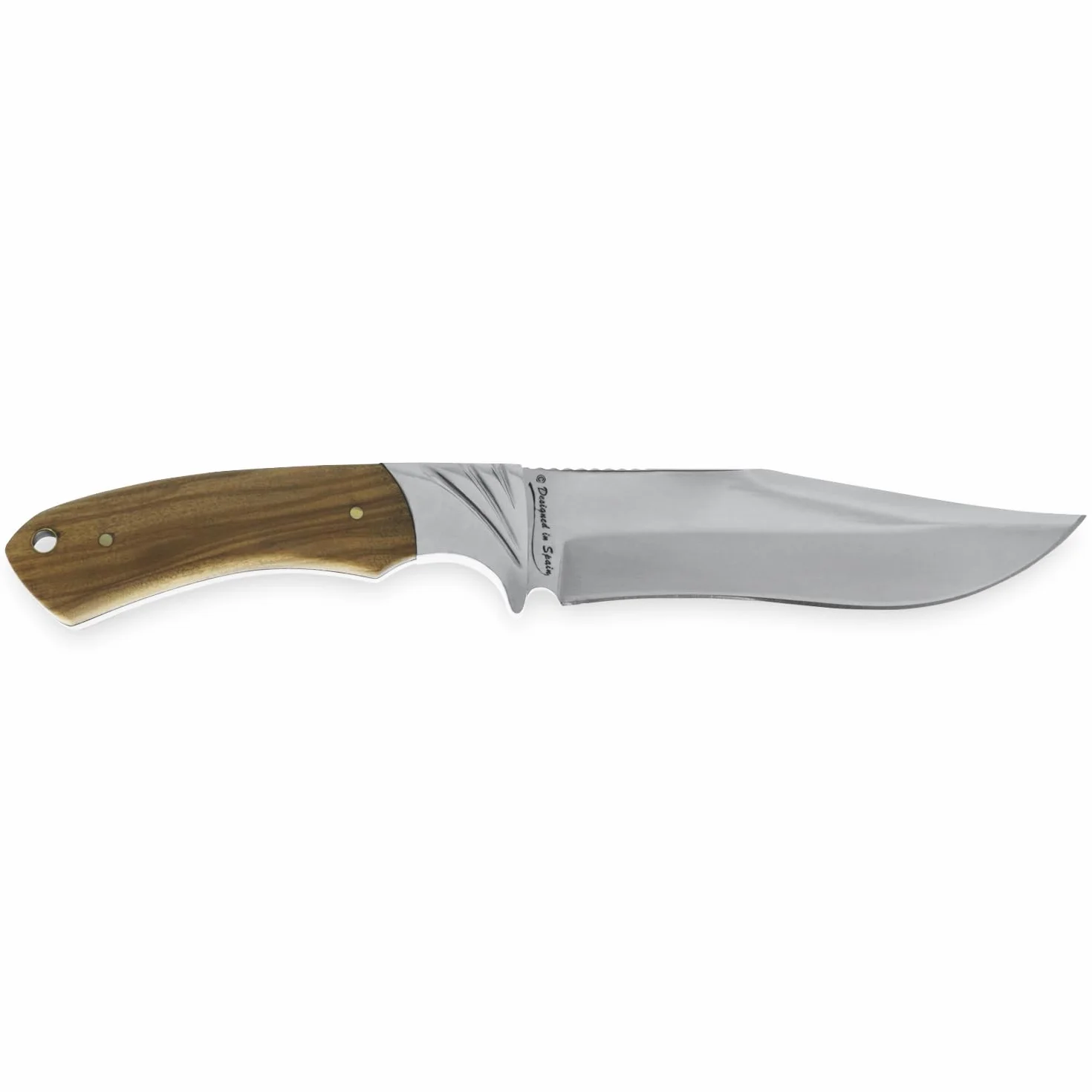 iFIELD EL29014 Coltello multifunzionale per escursioni, caccia e sopravvivenza all'aperto, manico in cervo, lama in acciaio inossidabile 3Cr13, fodero di alta qualità colore marrone