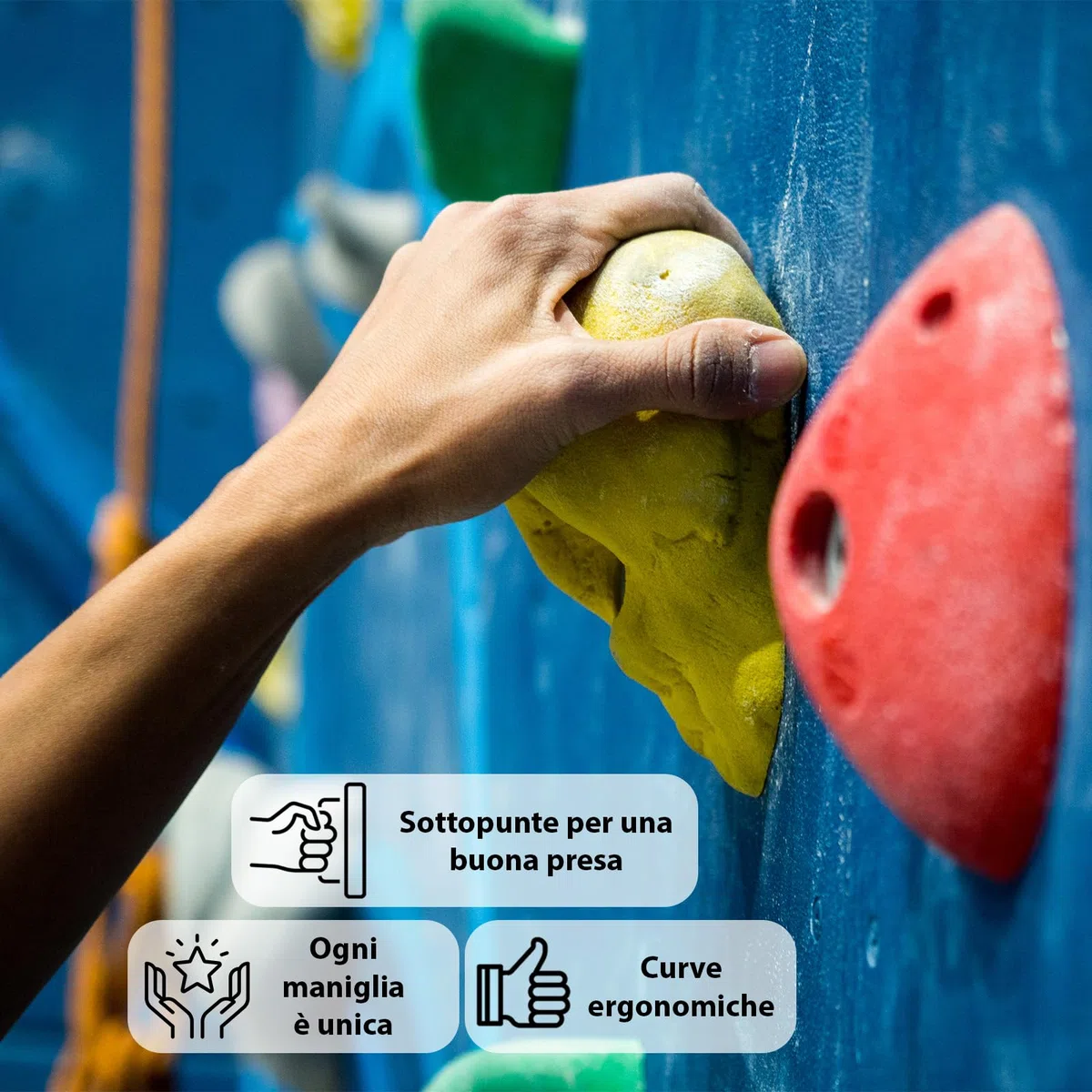 ALPIDEX 35 Prese l'Arrampicata | Incluse Viti, Dadi Autobloccanti | Dimensioni L, M, S | Set Partenza | Superficie Arrampicata 3-5 m² | Set Blocchi Arrampicata