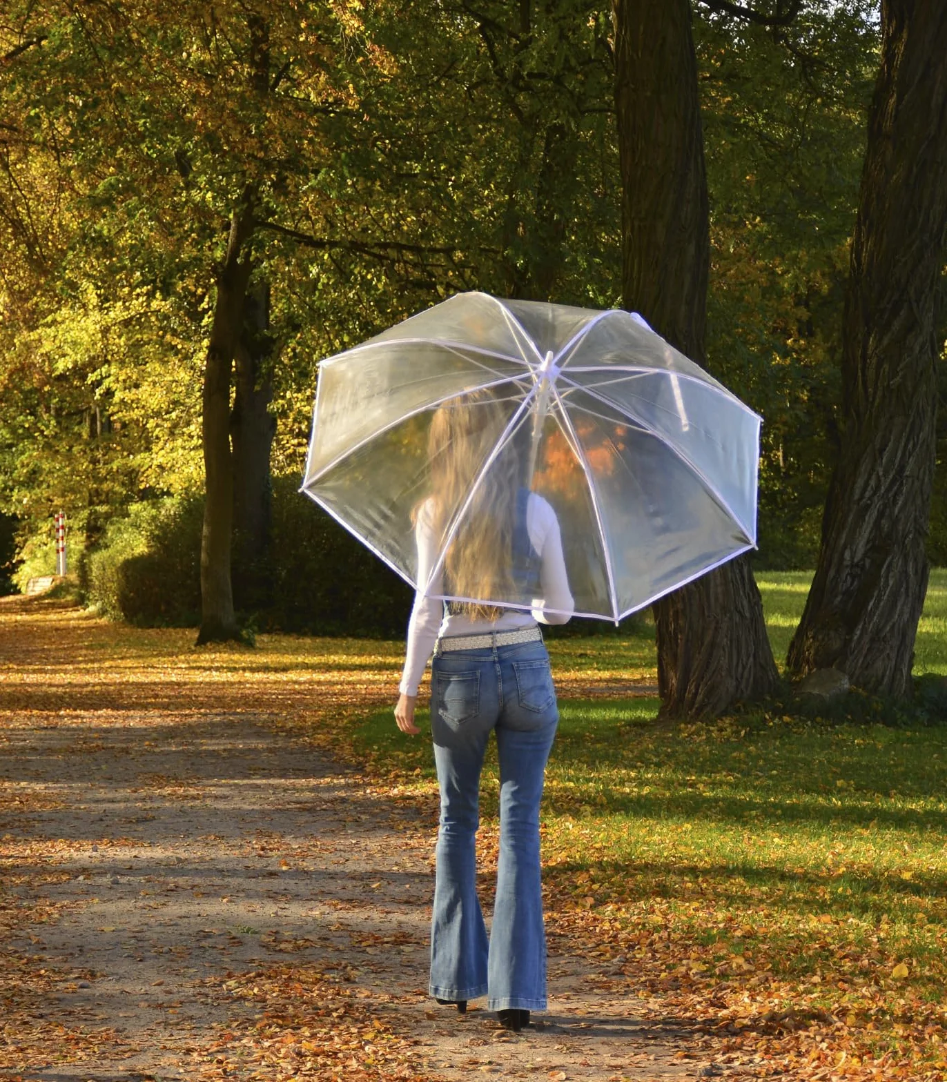 iX-brella Ombrello XXL in fibra di vetro da golf automatico nero, Bianco/Trasparente, 135 cm