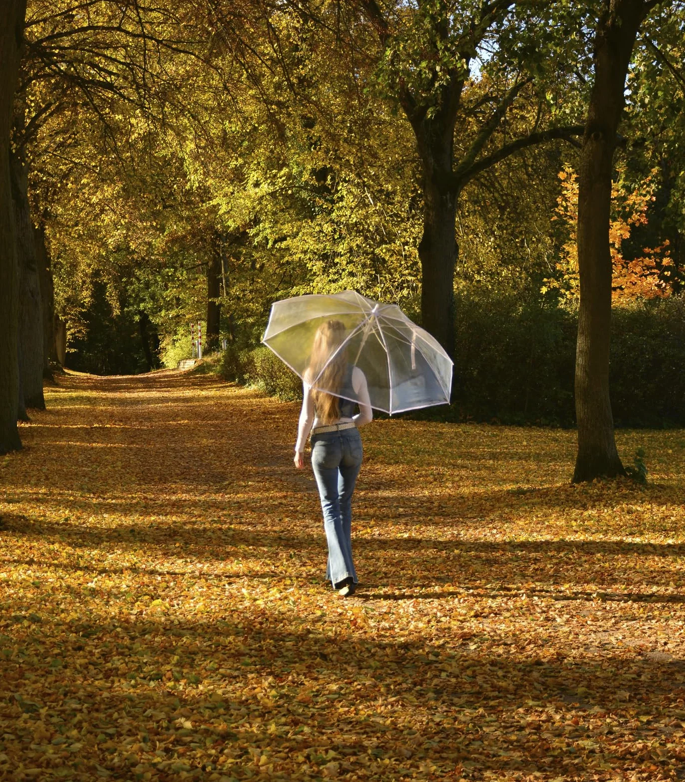 iX-brella Ombrello XXL in fibra di vetro da golf automatico nero, Bianco/Trasparente, 135 cm