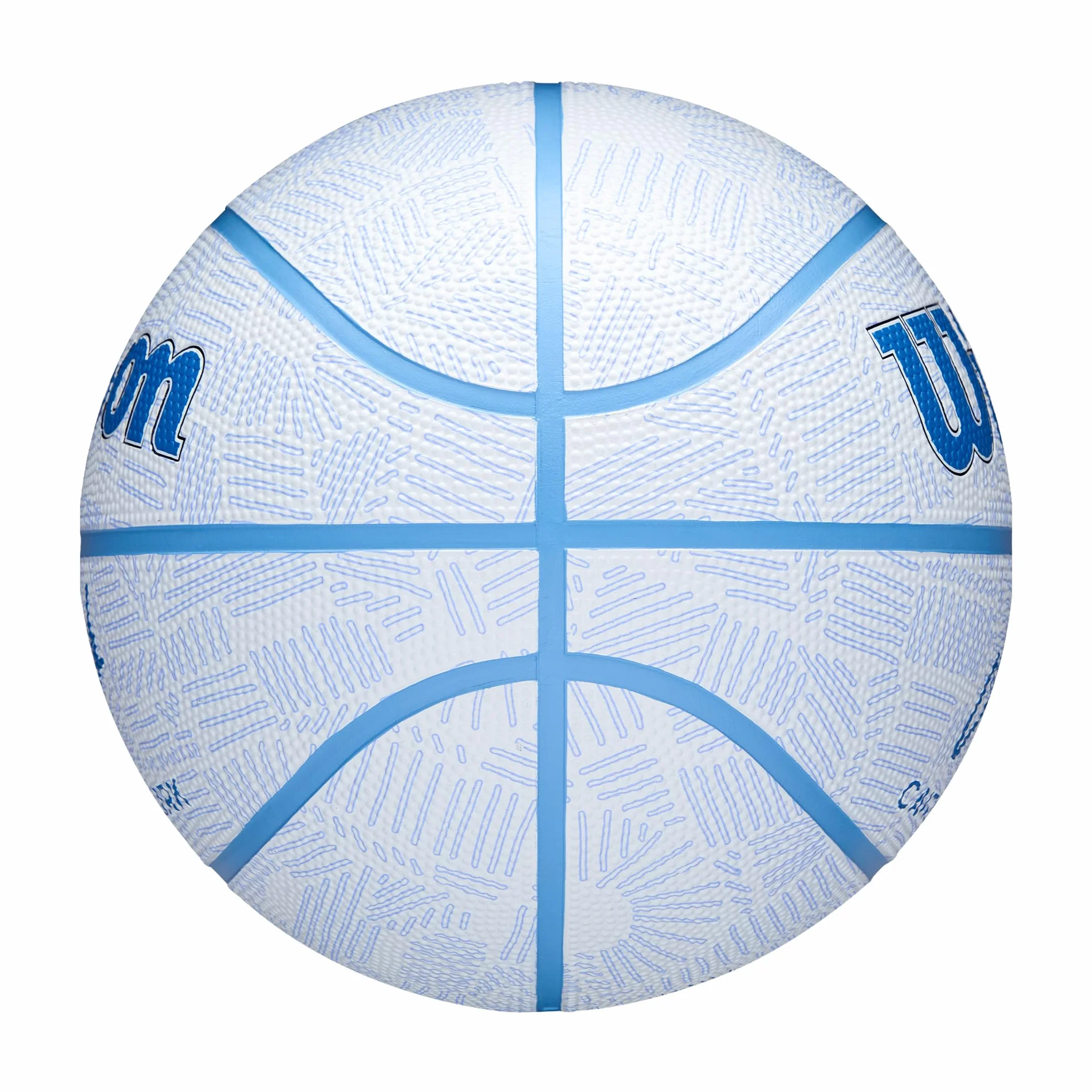 WILSON Caitlin Clark Envision Palloni da basket