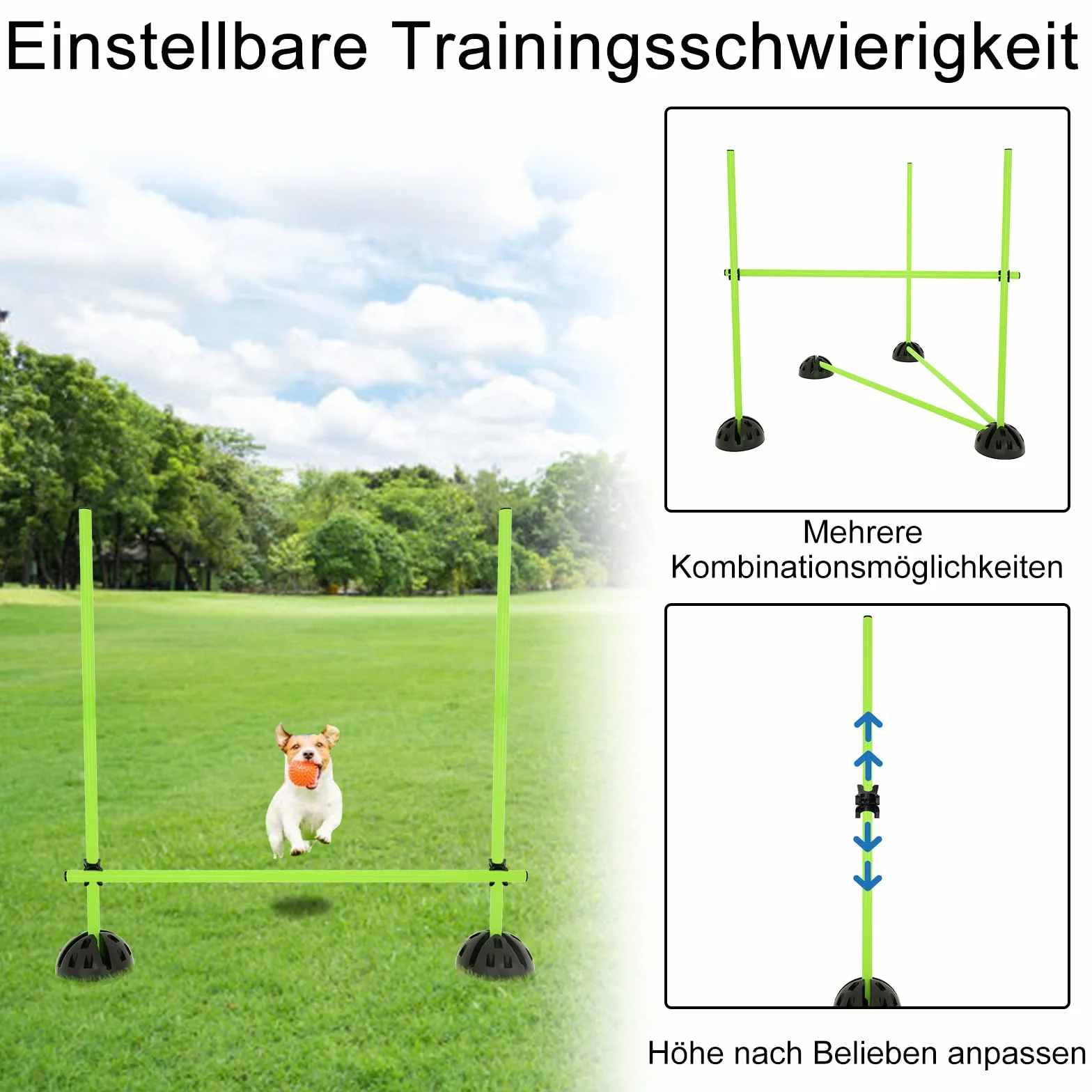 ACXIN Agility - Set di barre da allenamento per allenamento condizionale, multifunzionale, per rimbalzo, dribbling, sport scolastici