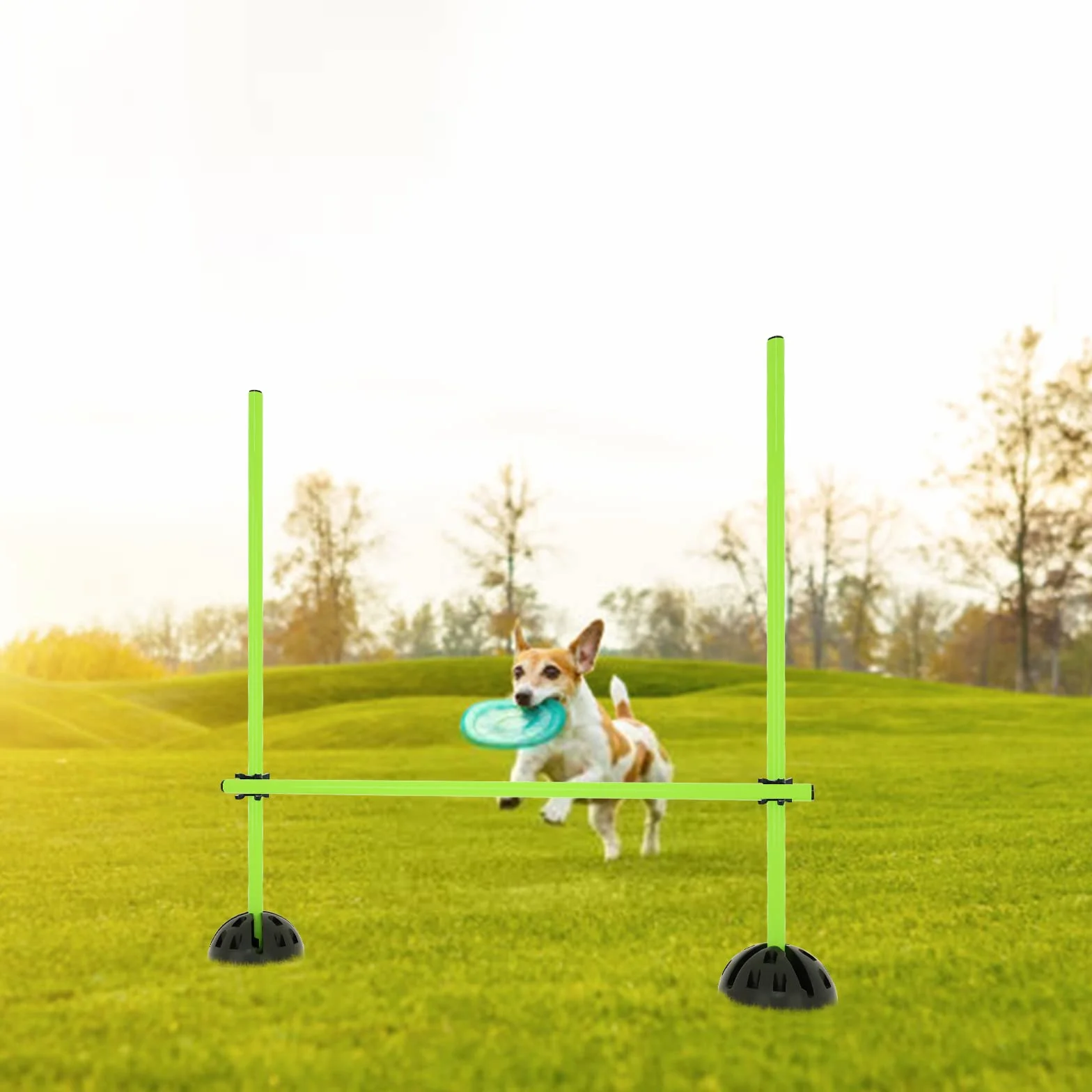 ACXIN Agility - Set di barre da allenamento per allenamento condizionale, multifunzionale, per rimbalzo, dribbling, sport scolastici